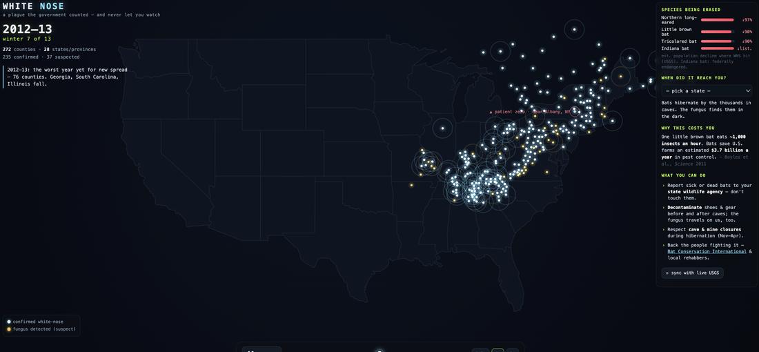 Screenshot from WHITE NOSE - the government counted a plague killing millions of bats, county by county, and never built you a way to watch it